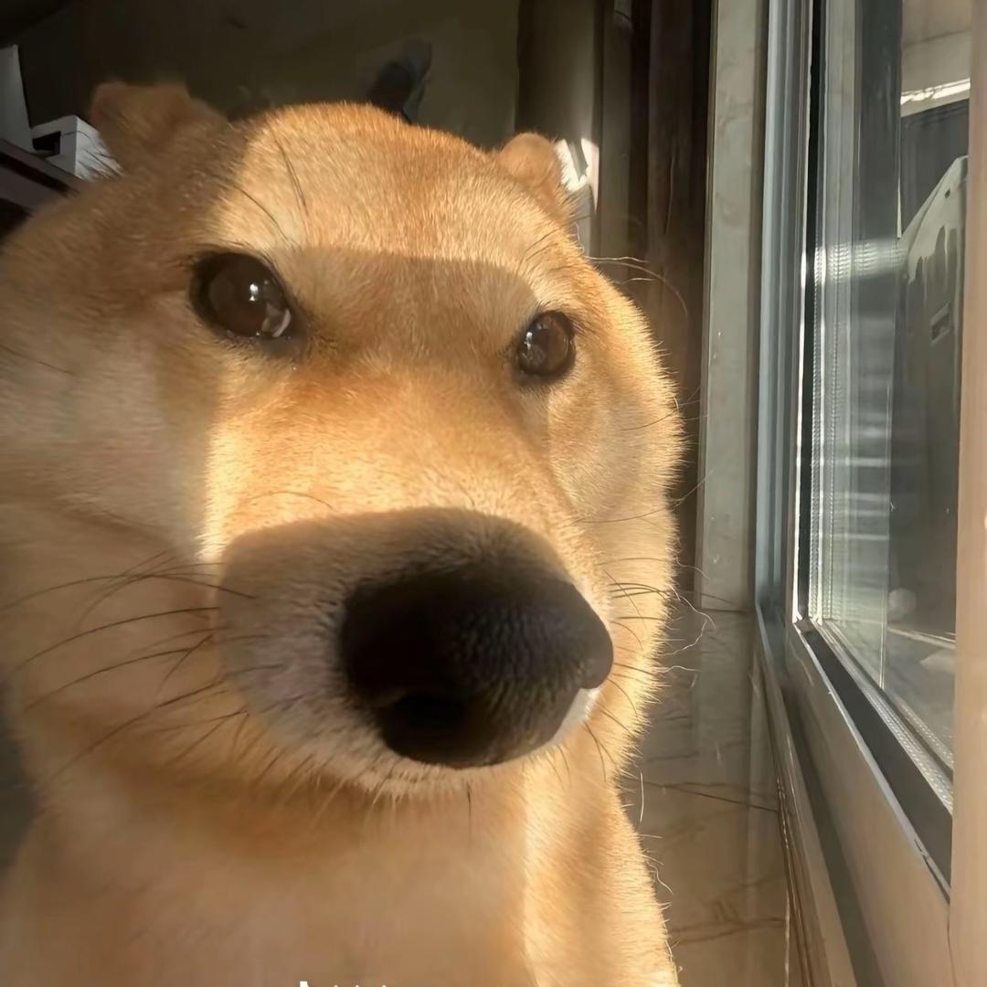 乙骨忧物