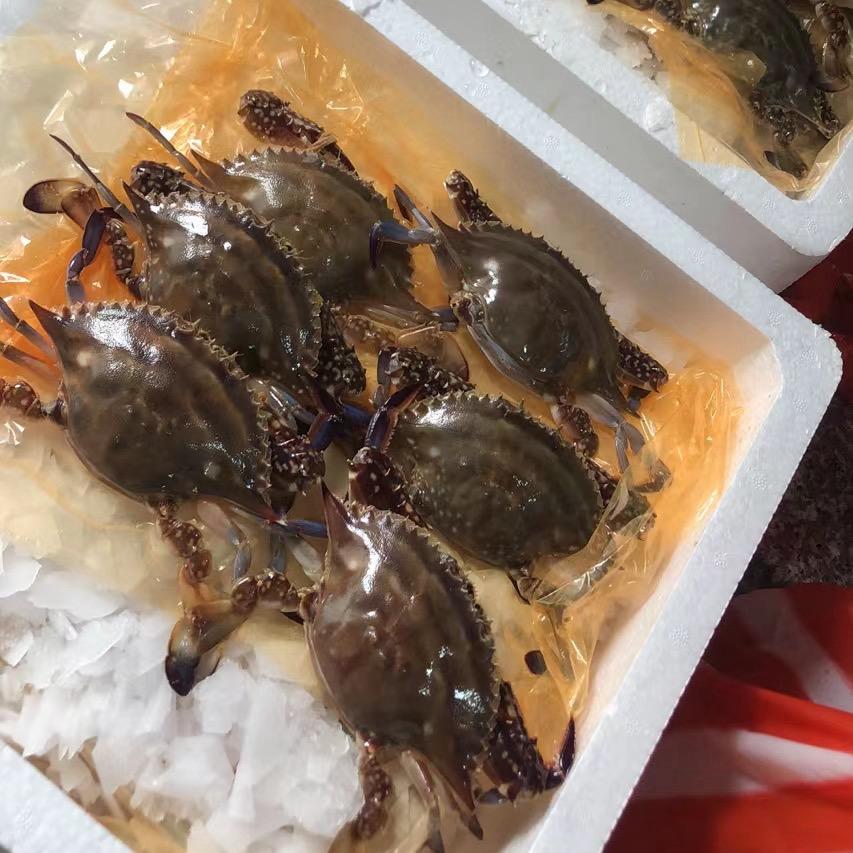 海鲜批发零售部
