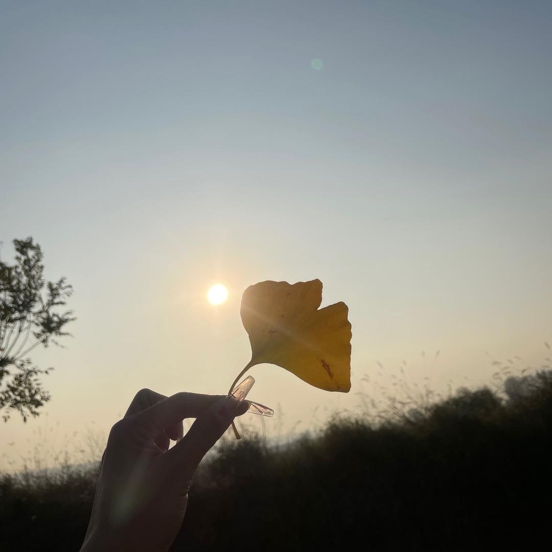 园（已瘦38斤）