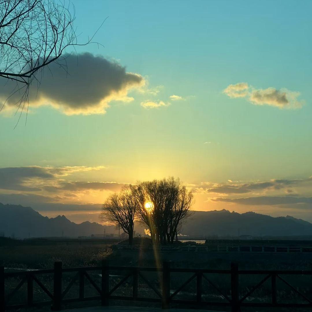 小香菜的生活🌻