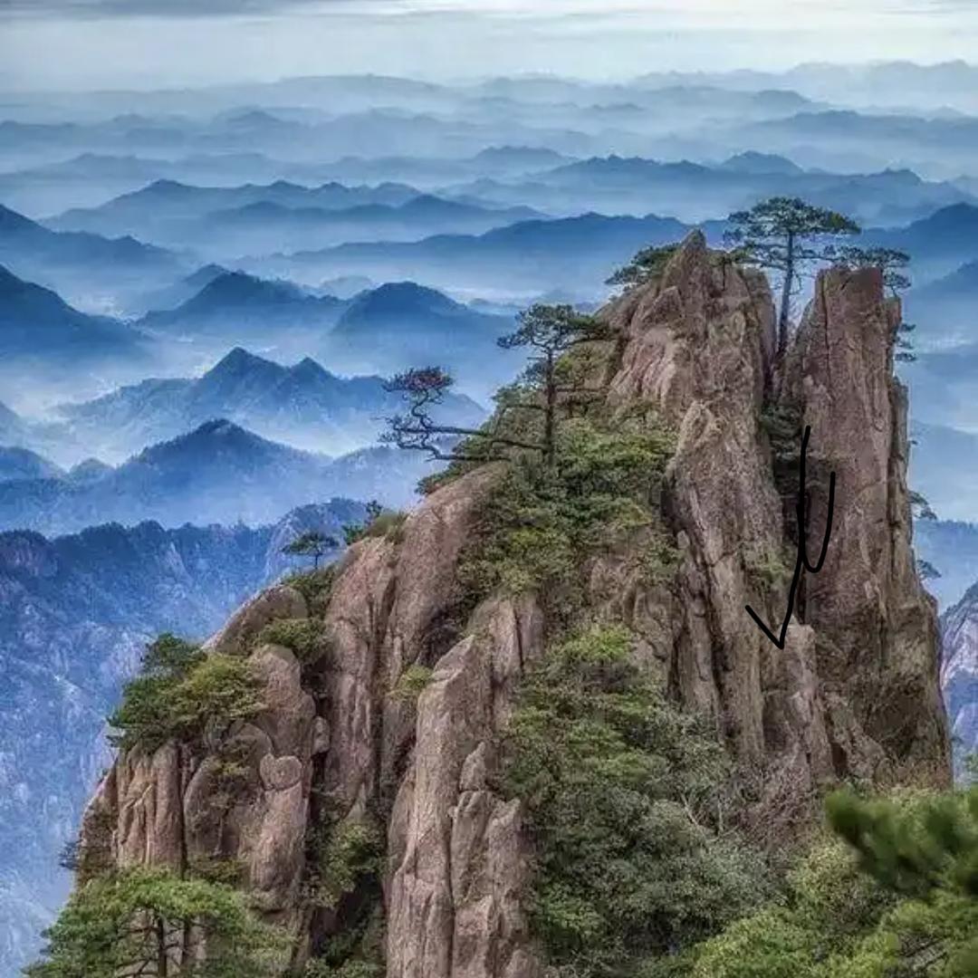 阿海论坛