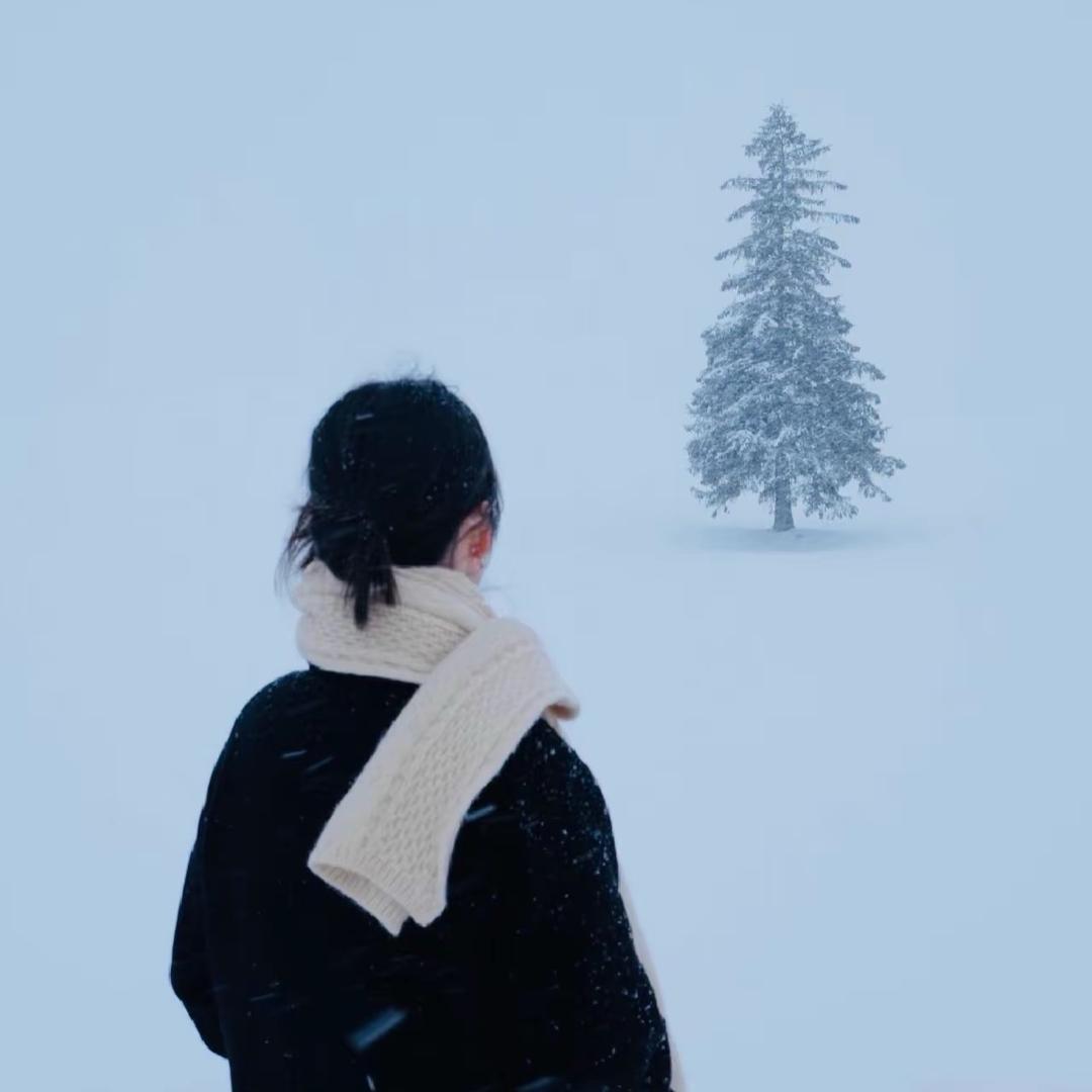 夜空中最亮的星