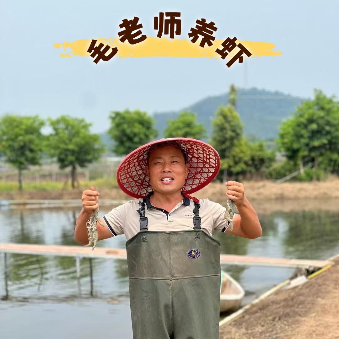 毛老师养虾