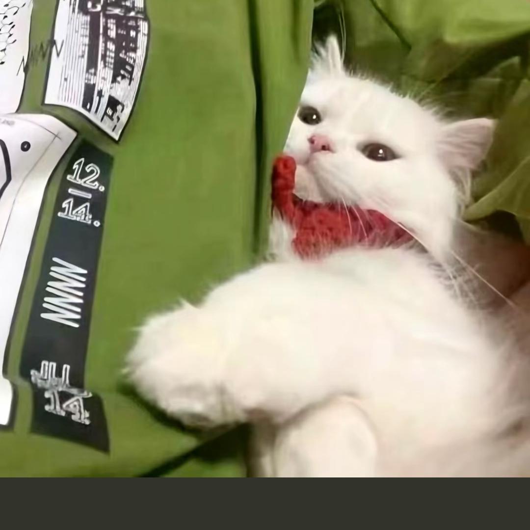 总是在
