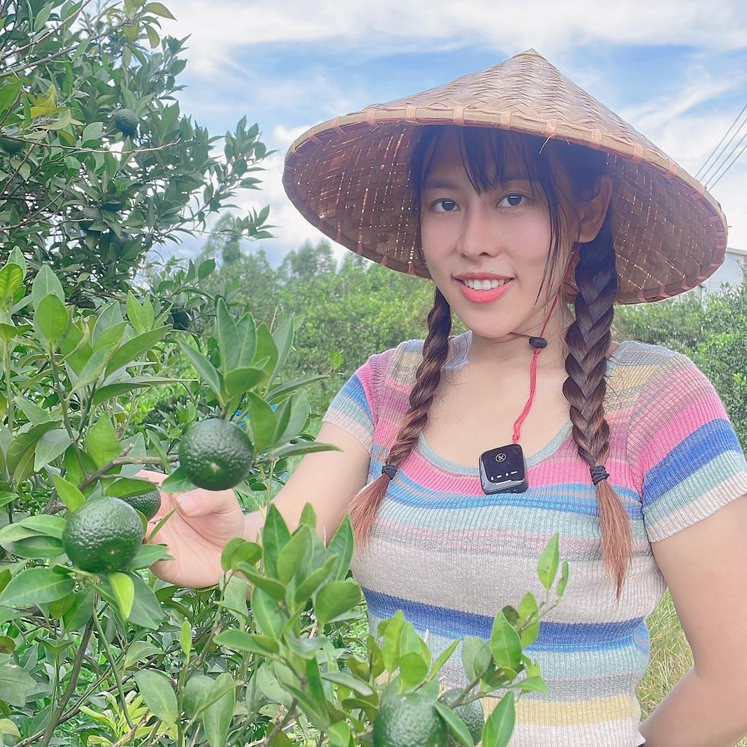 圆儿圆