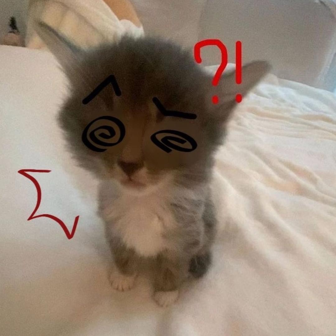 程十三