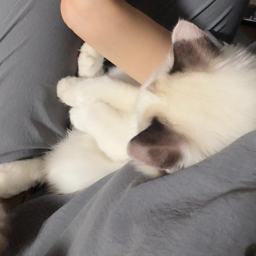 芸生