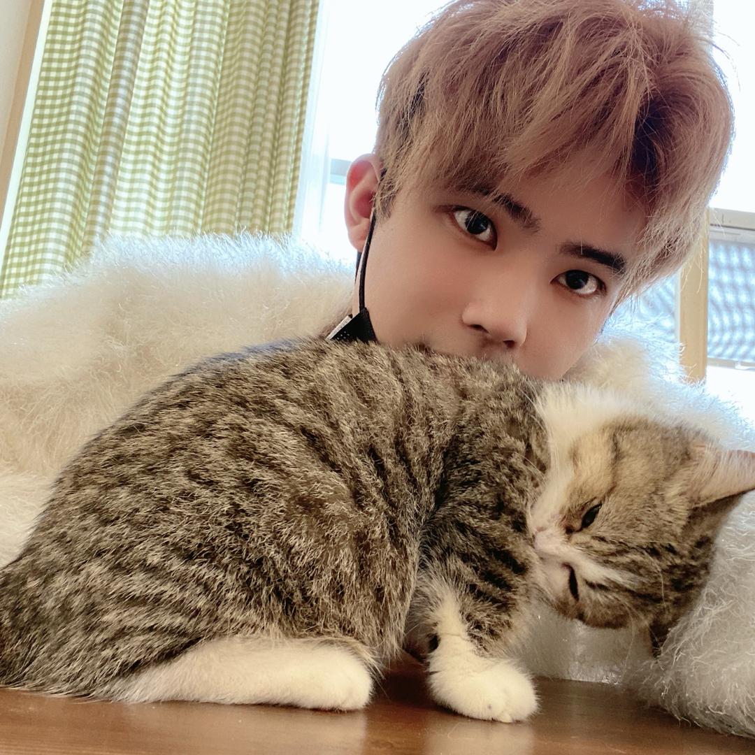 🌈1️⃣个芹菜