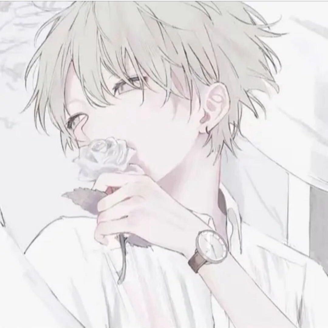 熊猫叮咚摆烂阿政