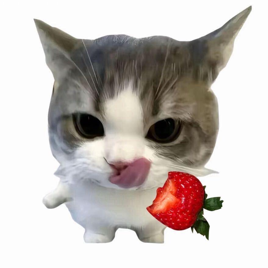 58岁阿姨大战八个男模到天亮