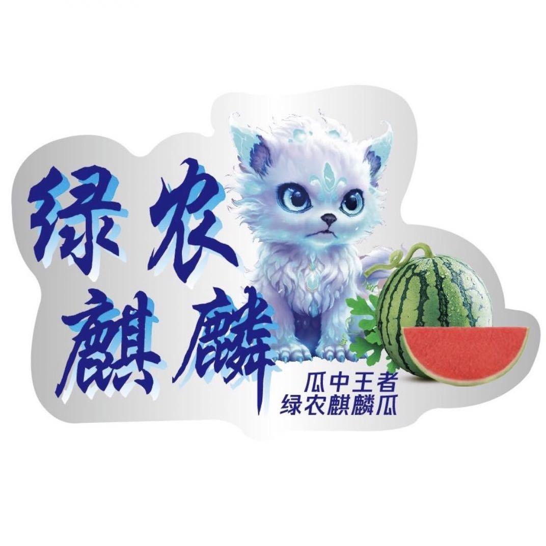 杨飞绿农麒麟西瓜产地供应