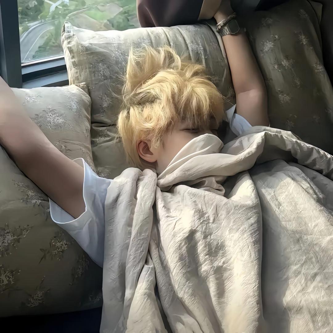 等风吹.