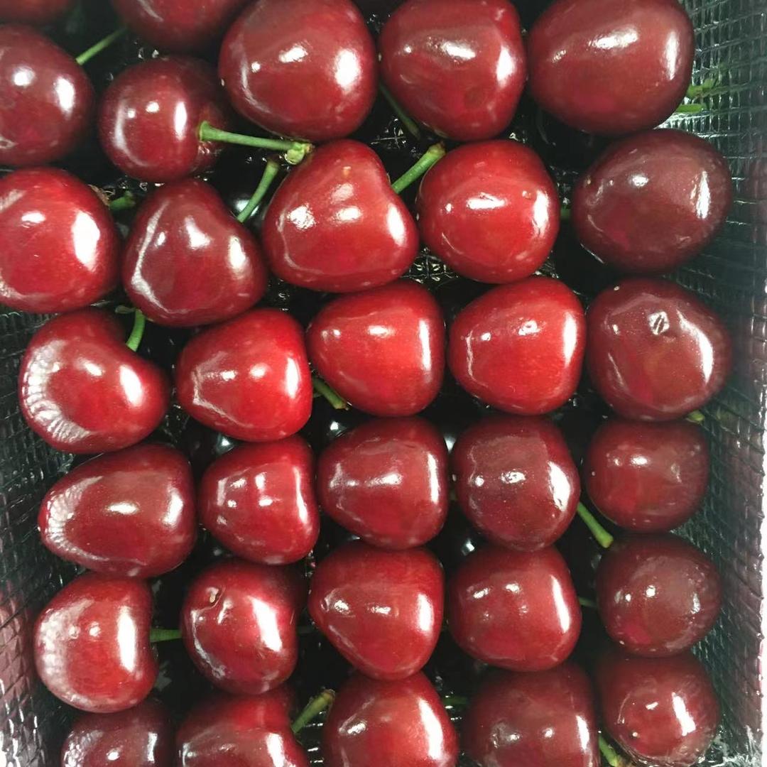 胶东特产馆高端精品水果严选