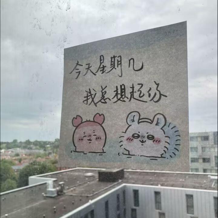 Dasseinzumtode头像