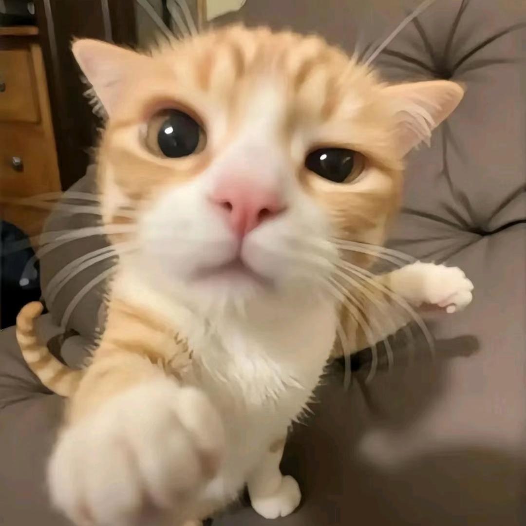 纪伯常