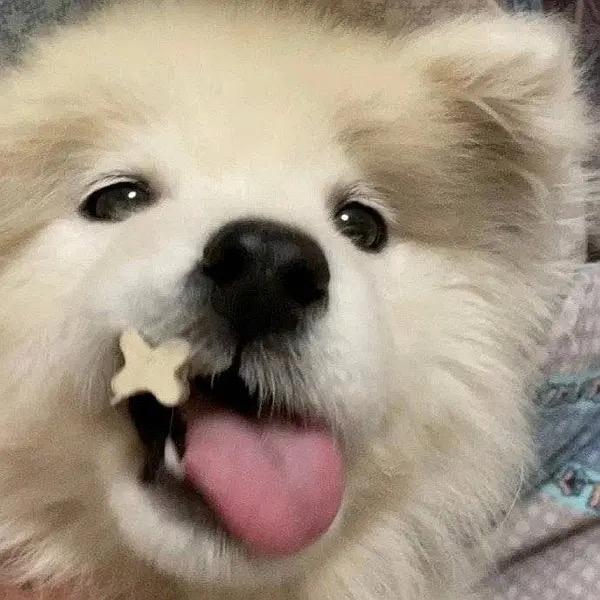 AAA五金批发