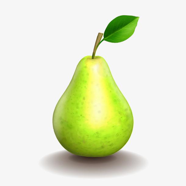 雪梨🍐
