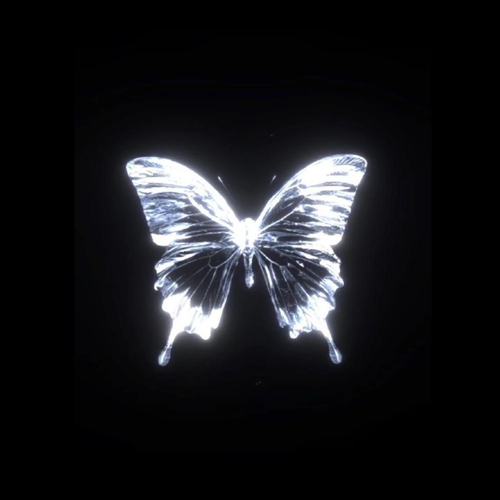 蝴蝶酱🦋