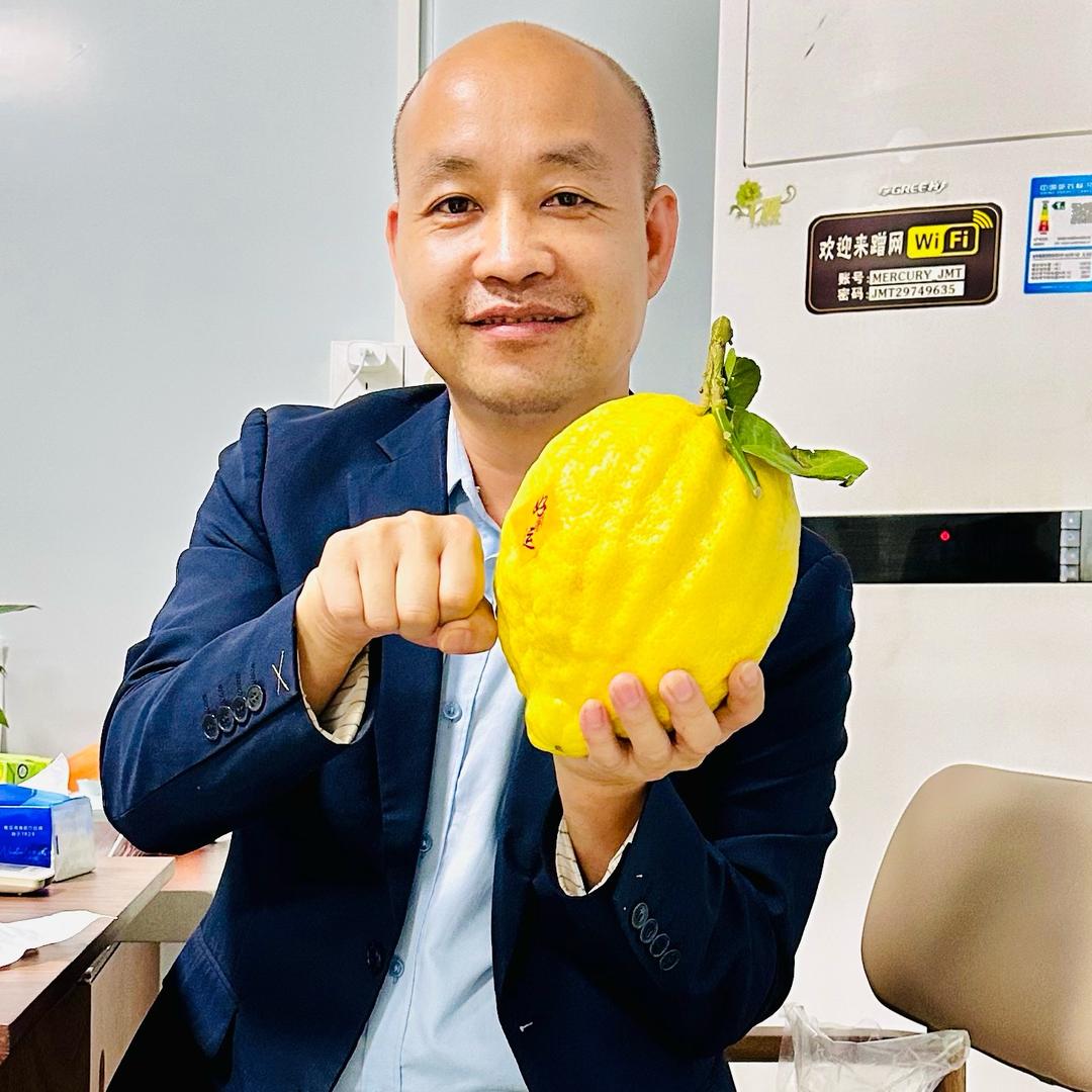 大麦260亩香水柠檬种植基地