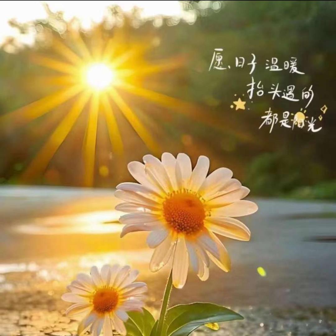 遇见是缘