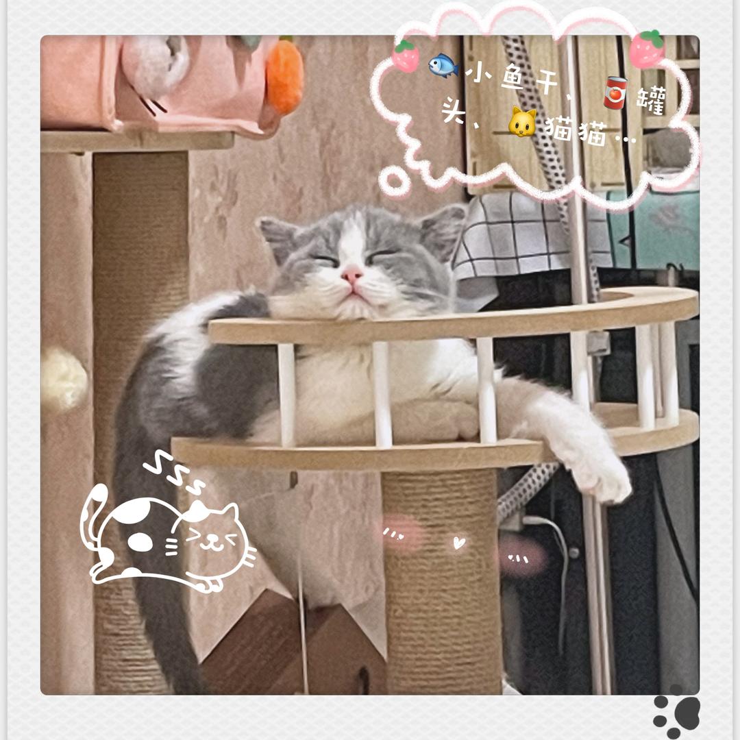 这里有朵云