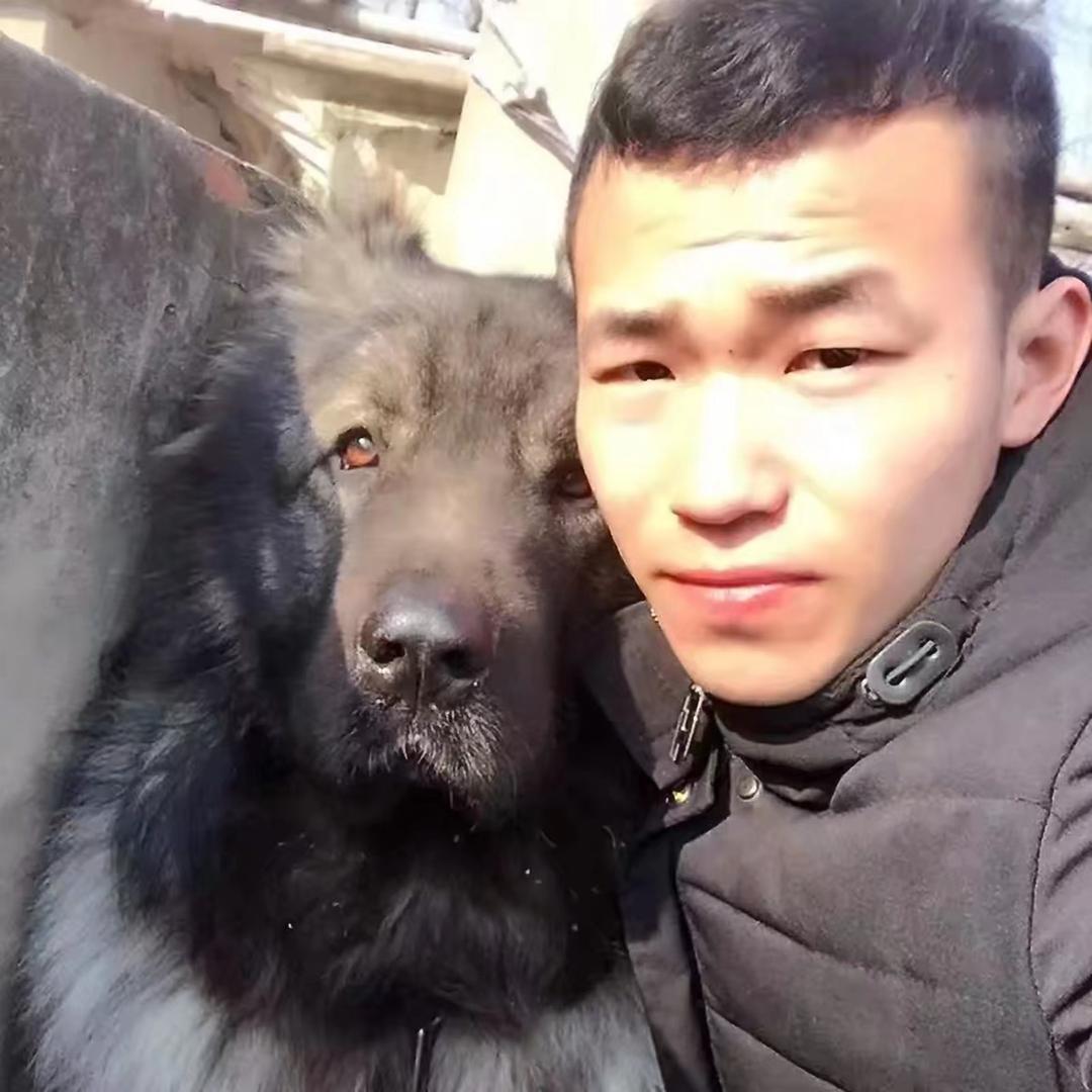 利辛红阳房产—沈磊