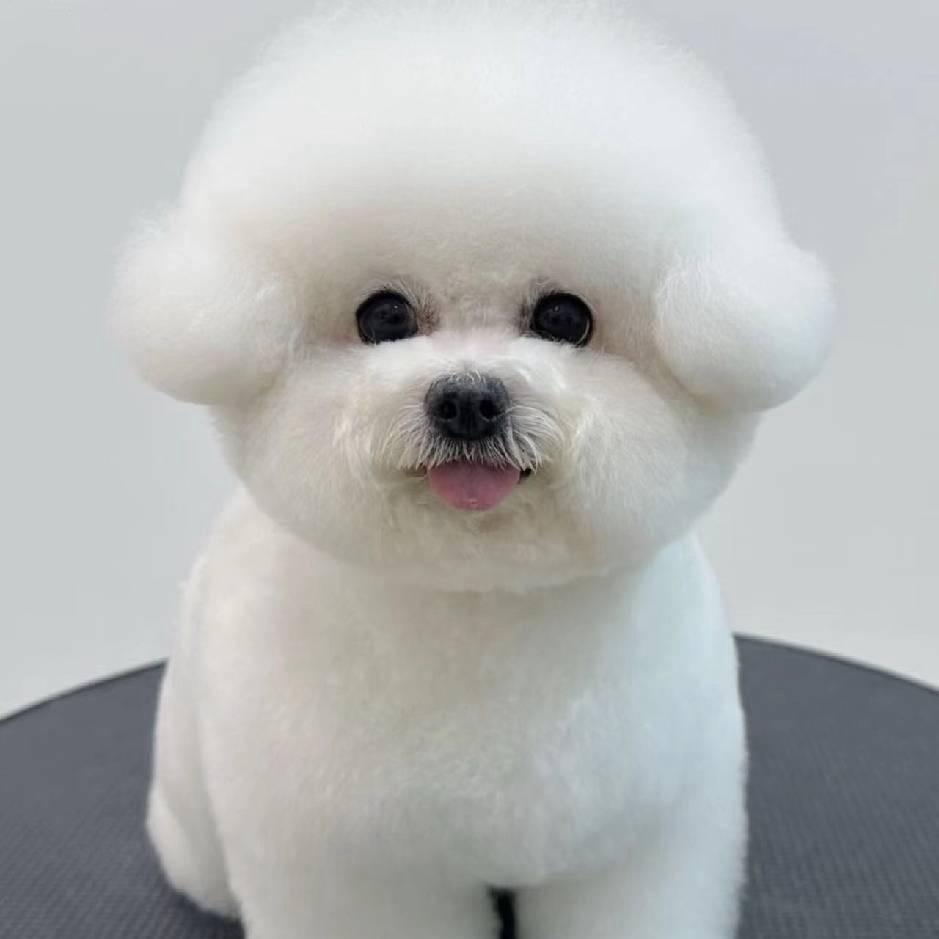 米小米宠物 🐶小杅