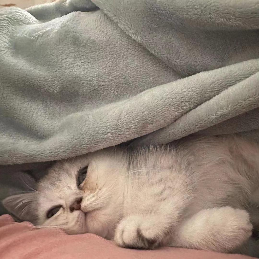 一杯冰美式☕️、