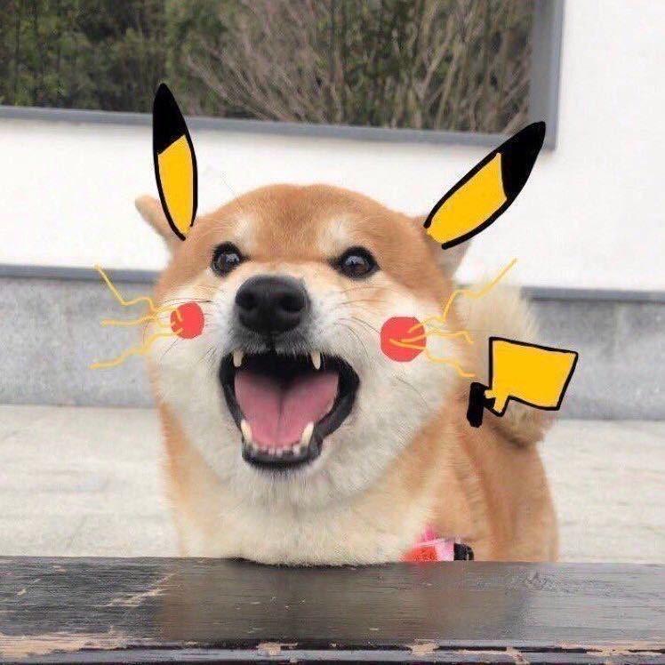 马铃薯