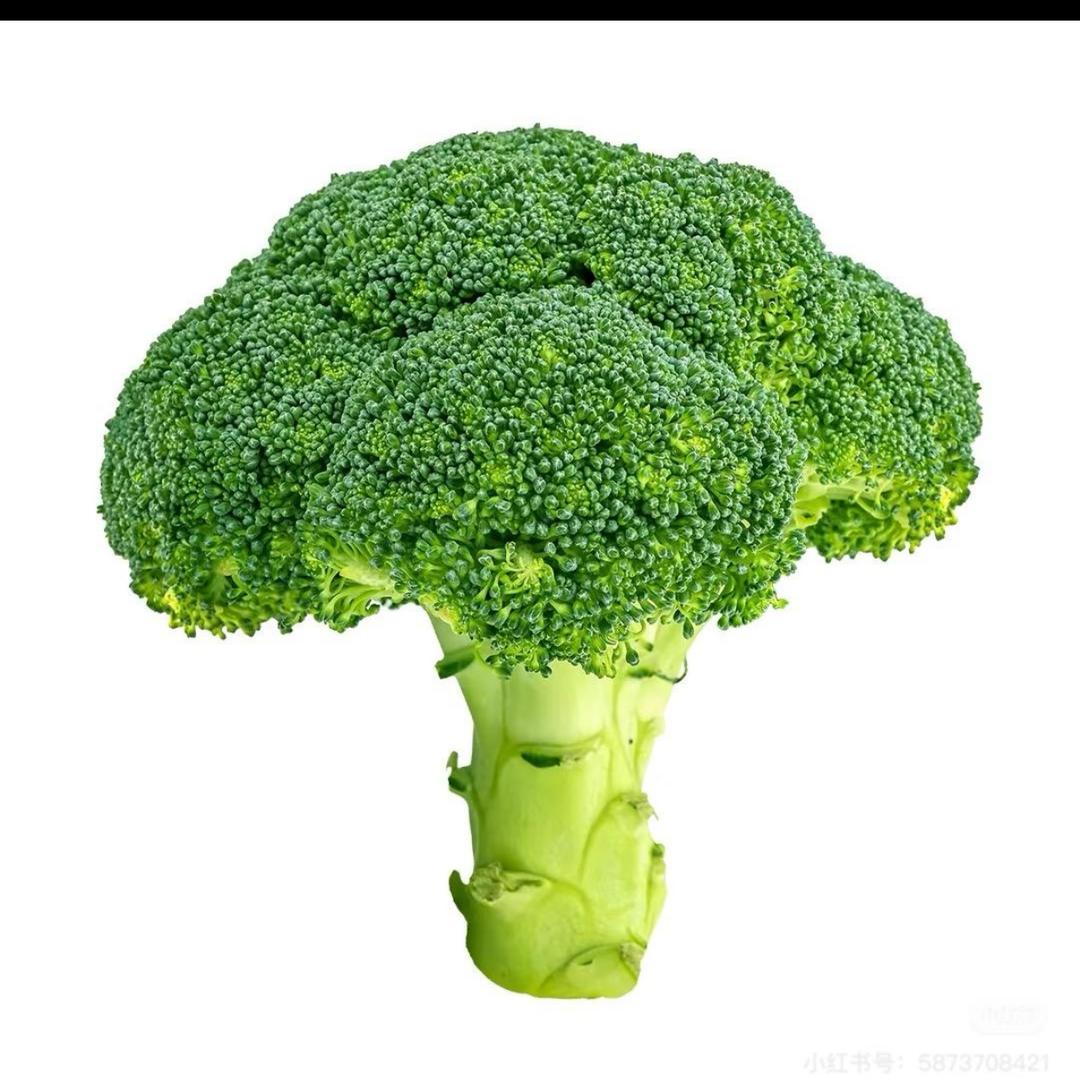 欠欠早点睡