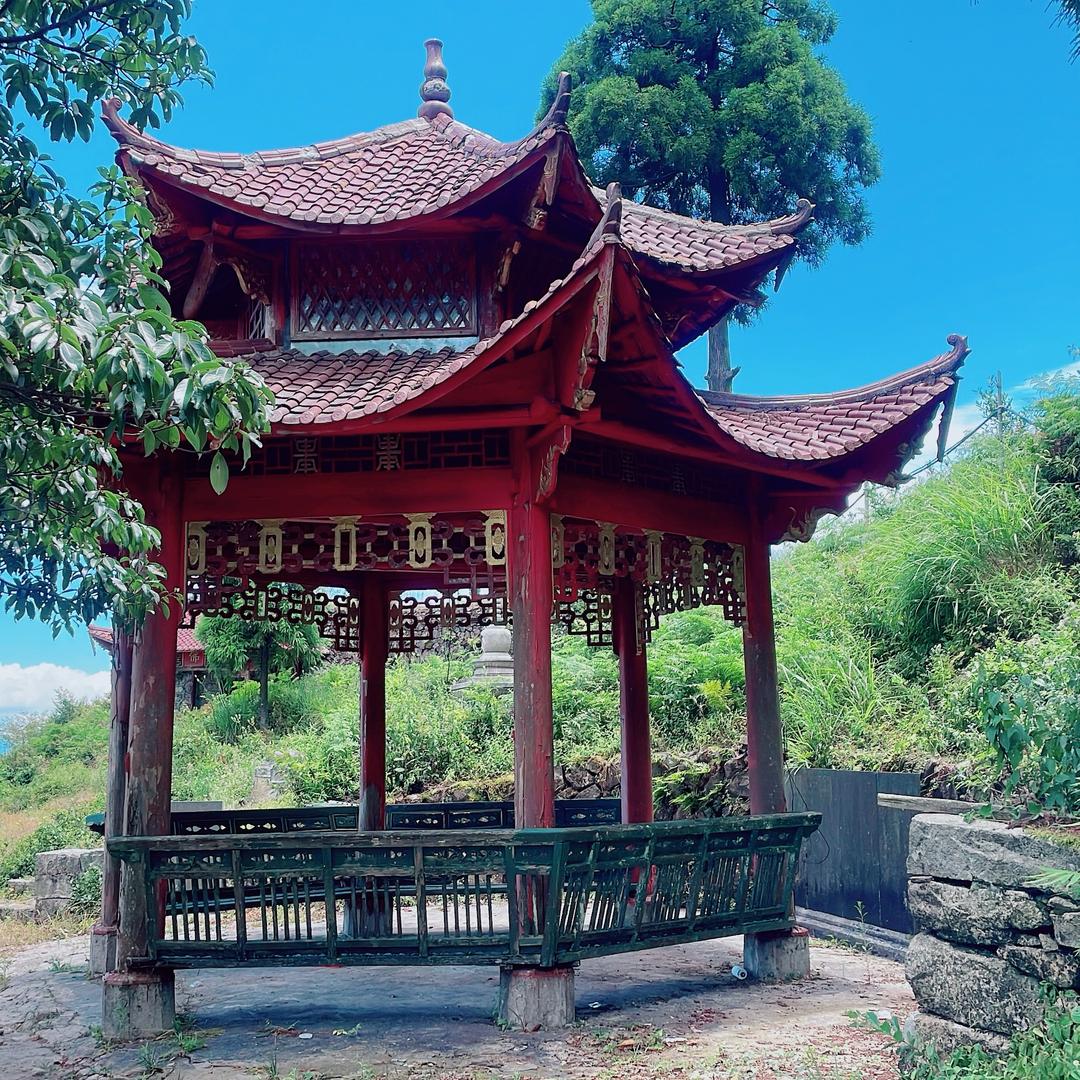 菏这百货店头像