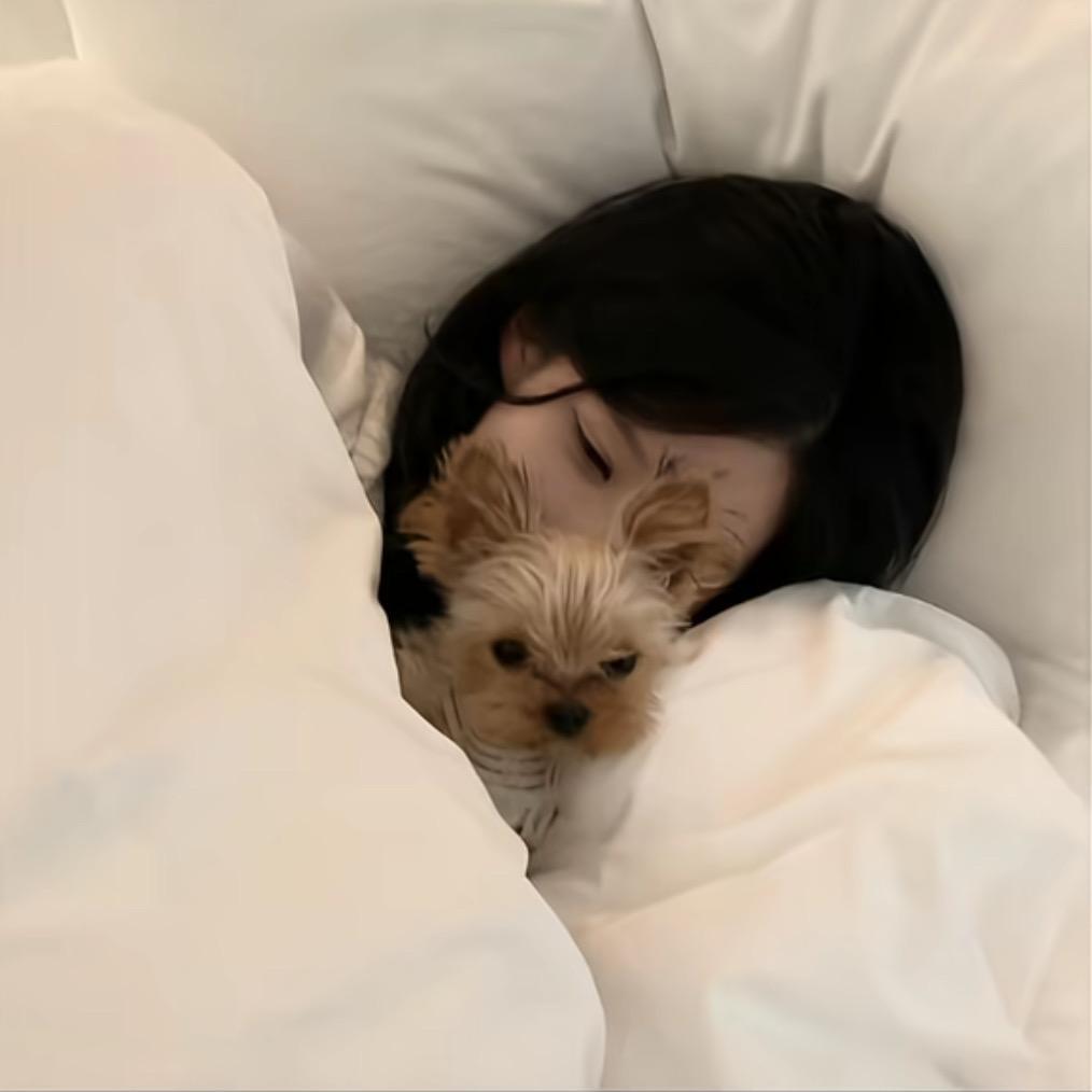 小王子へ