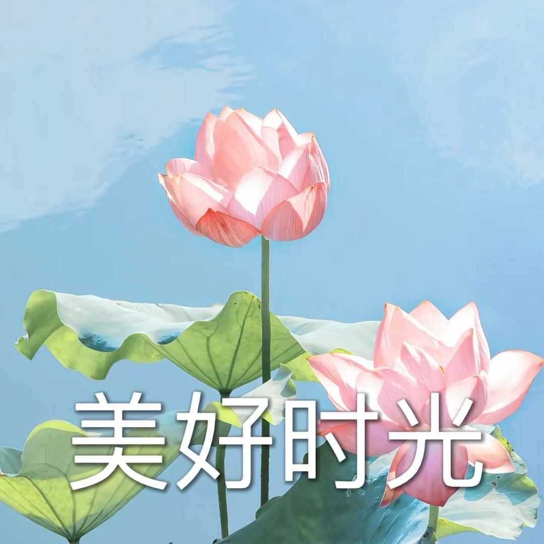 花开富贵**