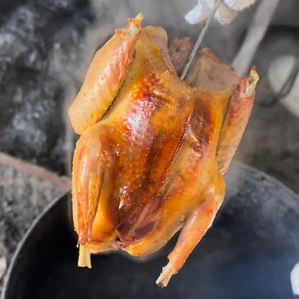 黄纸烧鸽子
