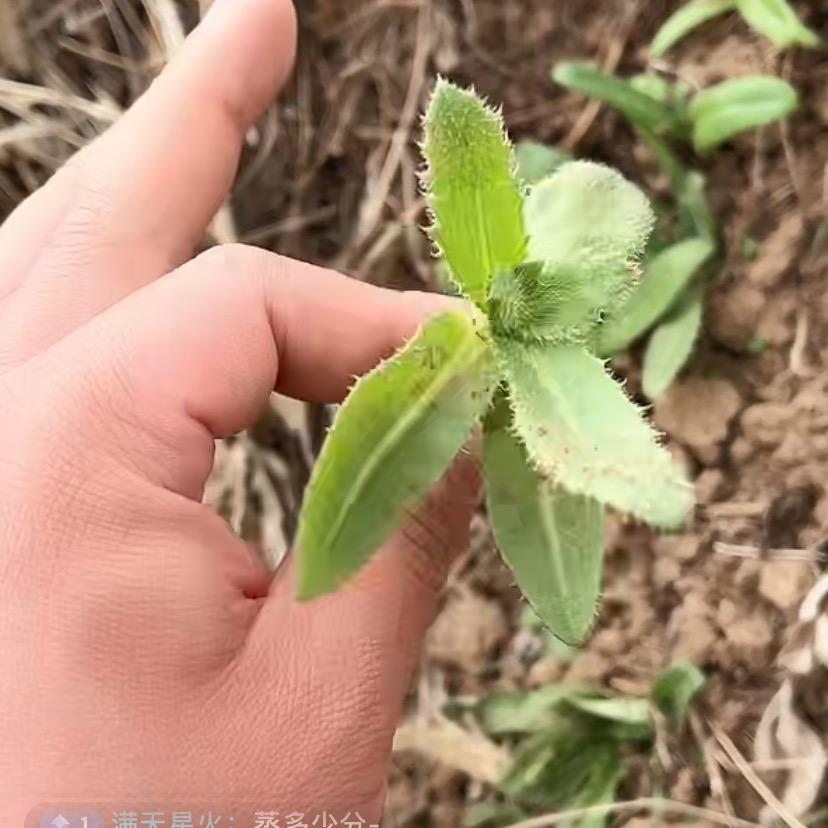 小欣小熙