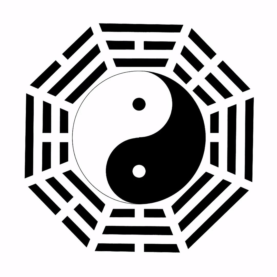 重生之我在抖音玩考古