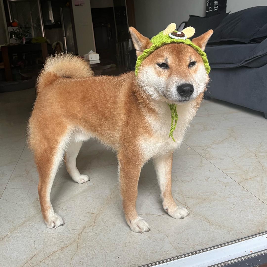 媛媛
