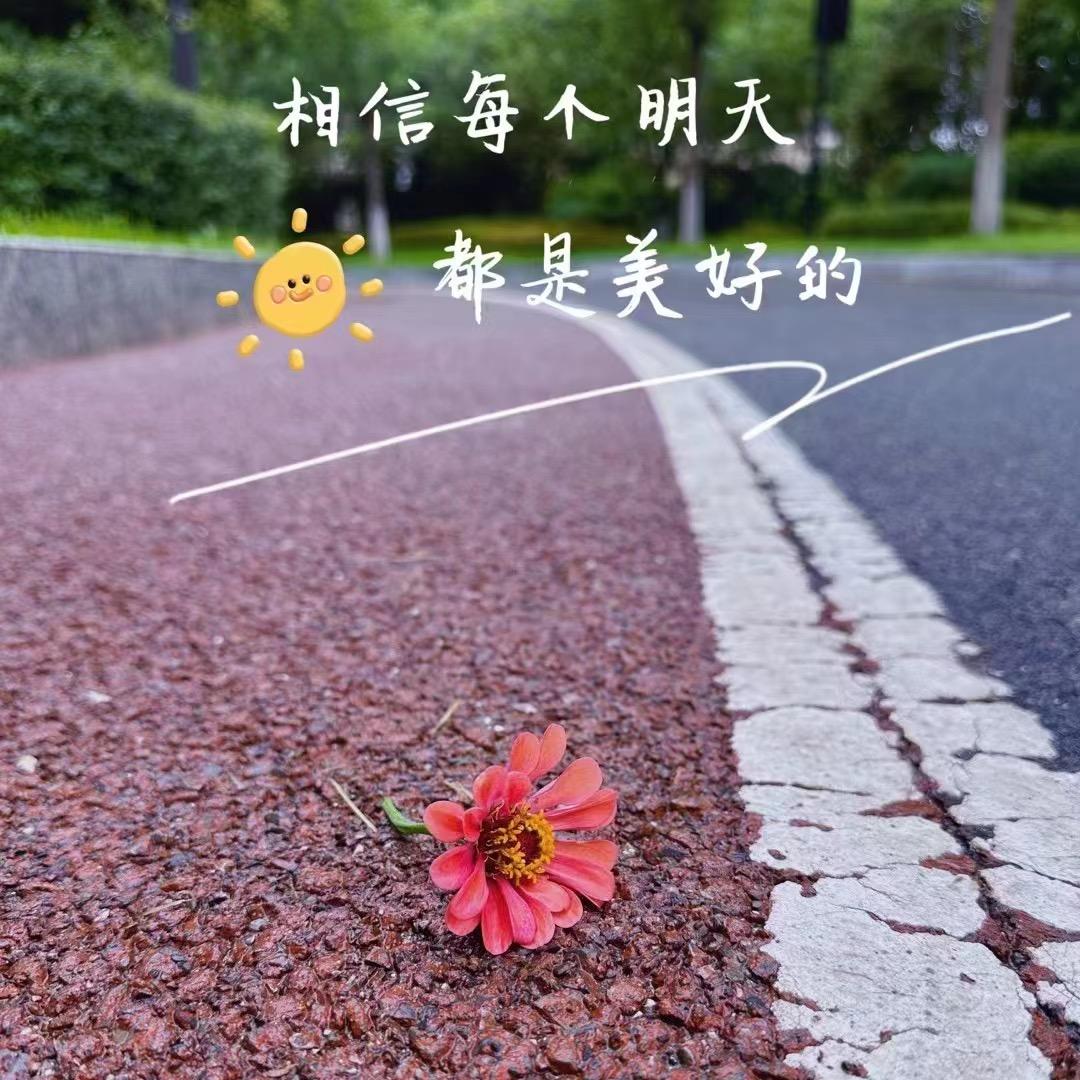 星好运🌞