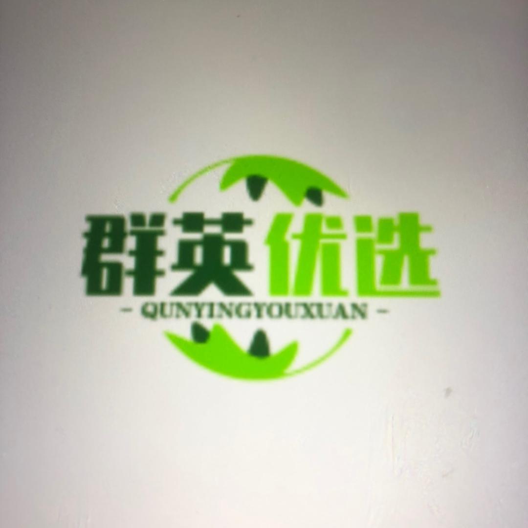 群英优选