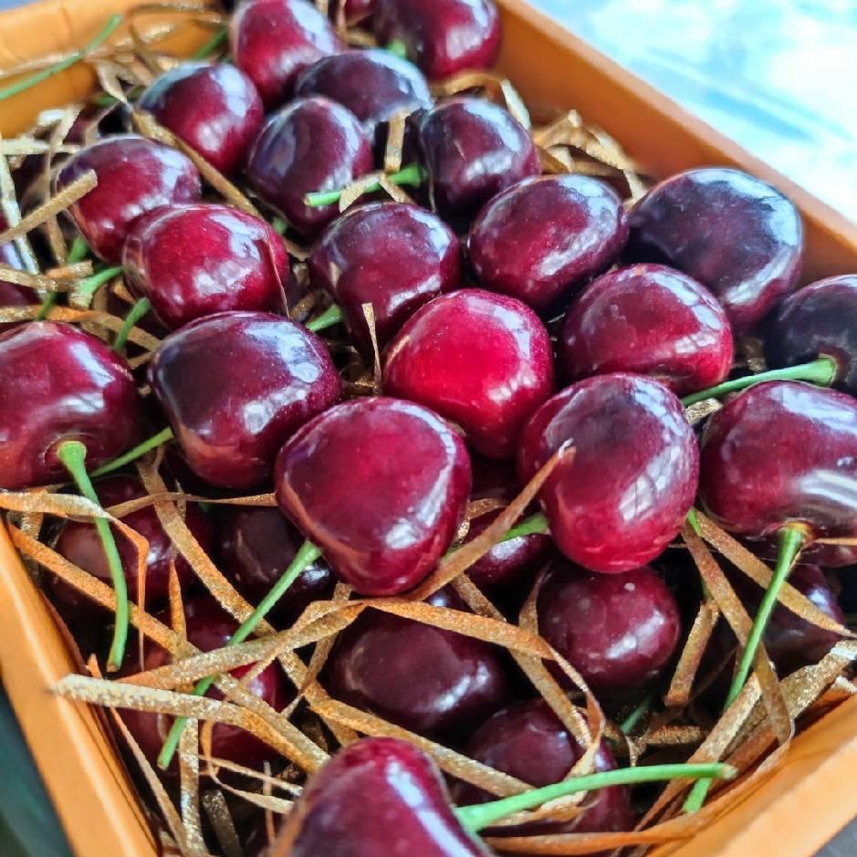 宝来家大樱桃（月子中）