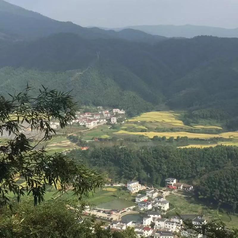 @随遇而安
