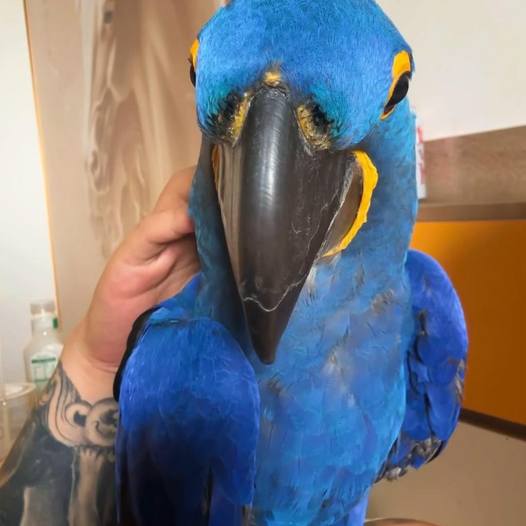 植蔓生养发护发企业店