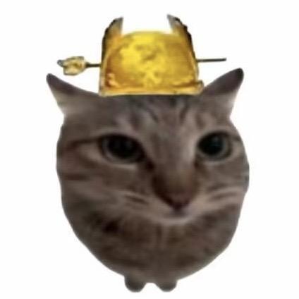 meow🐱诺