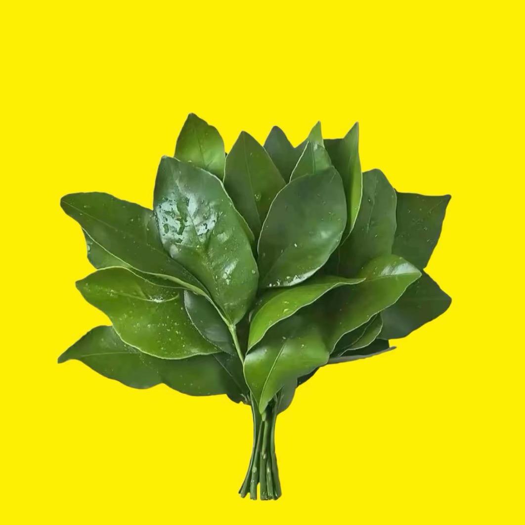 拾柒咪