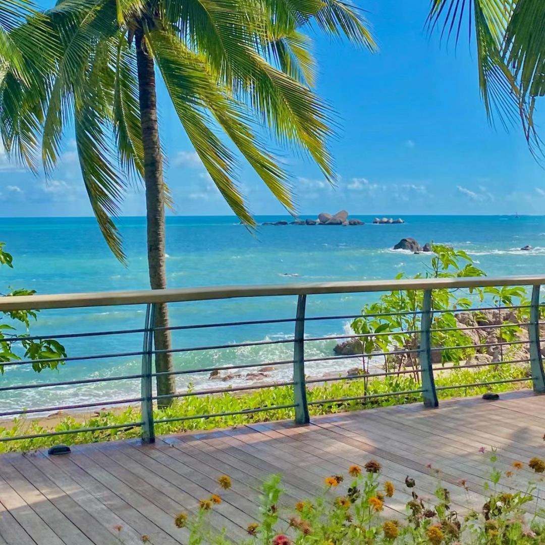 แก้วขนเหล็ก