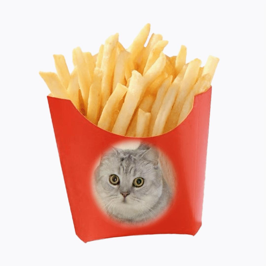 猫味薯条