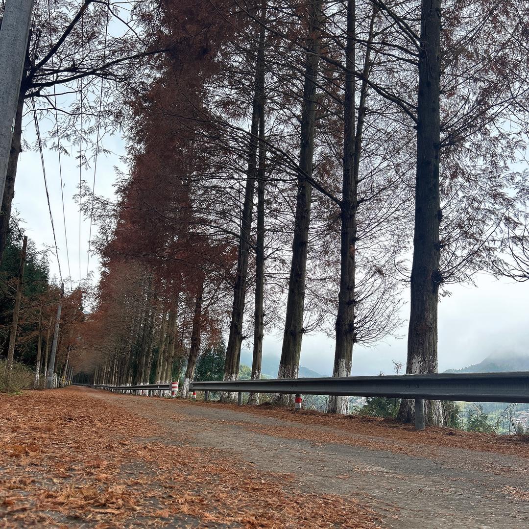 极越｜温州瓯海万象城体验店