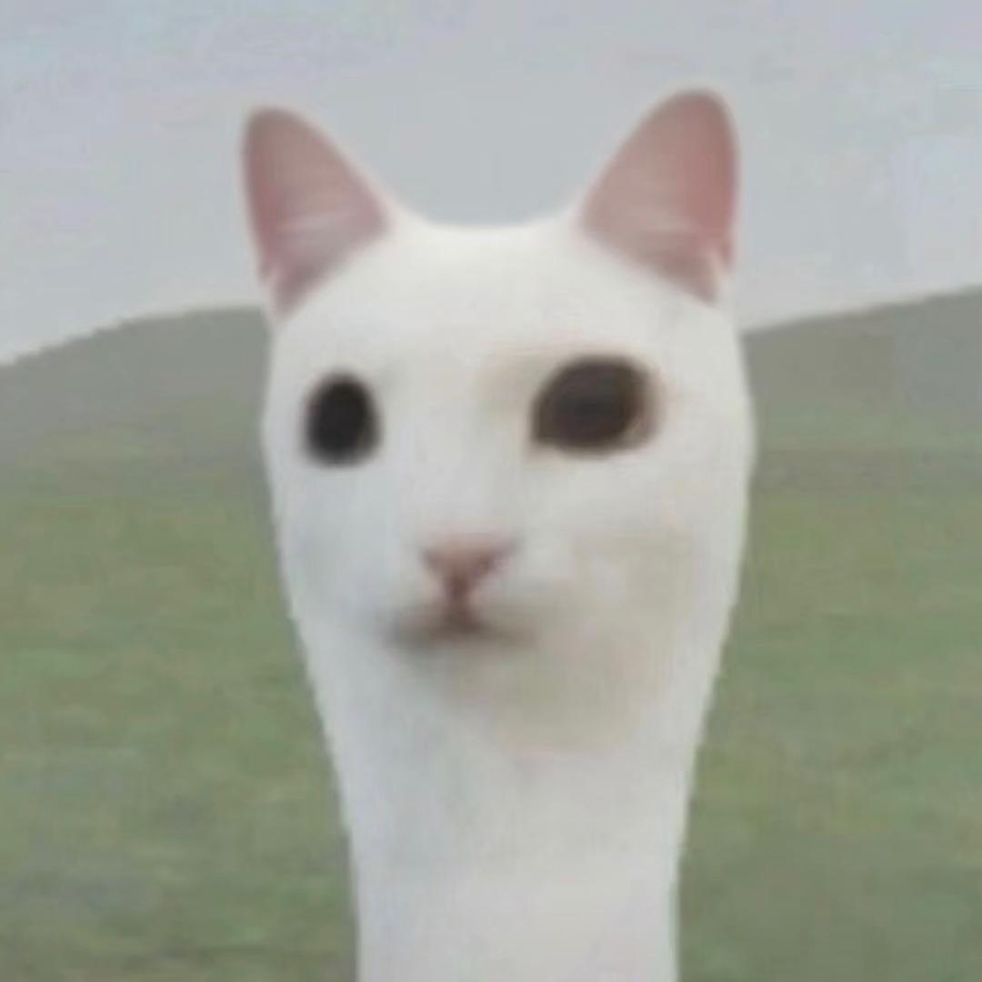 >🍀