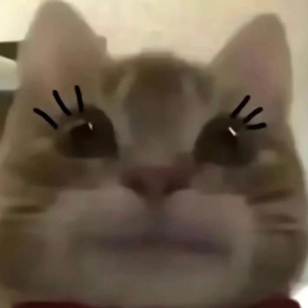 趣死吧