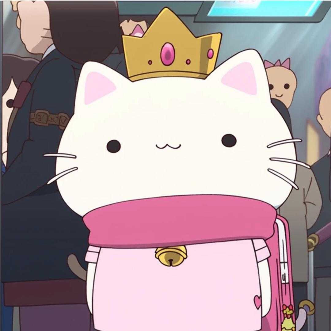 喵小姐好物分享